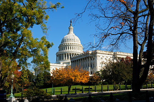 US Capitol Autumn