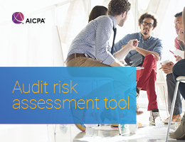audit risk assessment tool