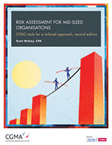 Risk-Assessment-for-Mid-Sized-Org