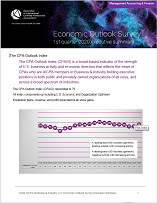 Economic Outlook Survey