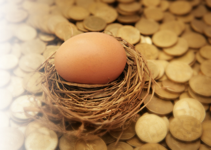 Nest egg on coins