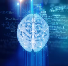 human digital brain