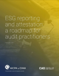 ESG reporting and attestation: A roadmap for audit practitioners