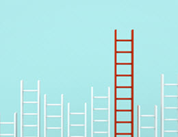 Firm Competency Model (Career Ladder)